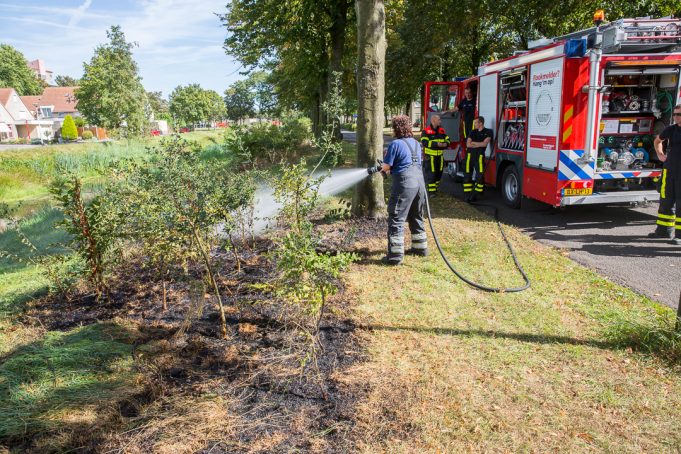 Brandweer blust bermbrand aan Reginadonk in Roosendaal