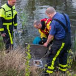 Brandweer bevrijdt vastzittende reiger in Roosendaal