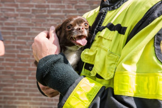 Bewoonster en politieagent naar ziekenhuis na brand in Roosendaal