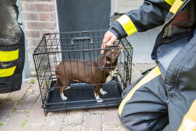 Bewoonster en politieagent naar ziekenhuis na brand in Roosendaal