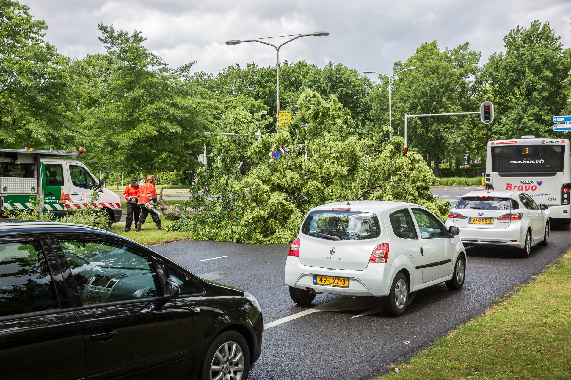 Omgewaaide boom zorgt voor verkeershinder aan Antwerpseweg