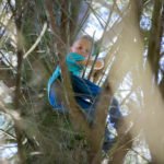 7-jarige jongen door brandweer uit boom gehaald in Roosendaal