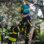7-jarige jongen door brandweer uit boom gehaald in Roosendaal