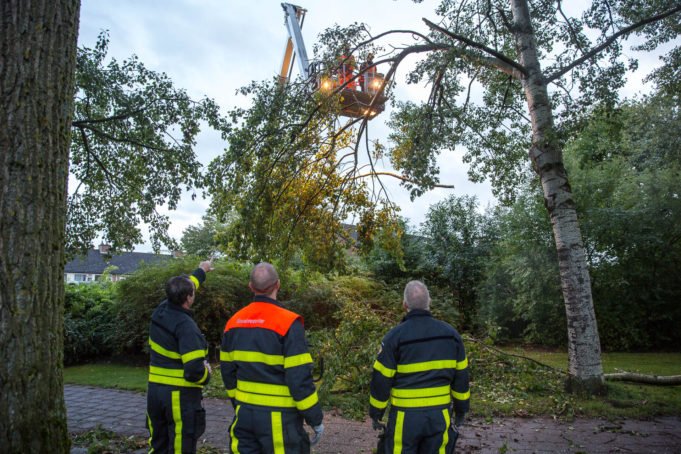 Brandweer verwijdert gevaarlijk hangende takken in Roosendaal