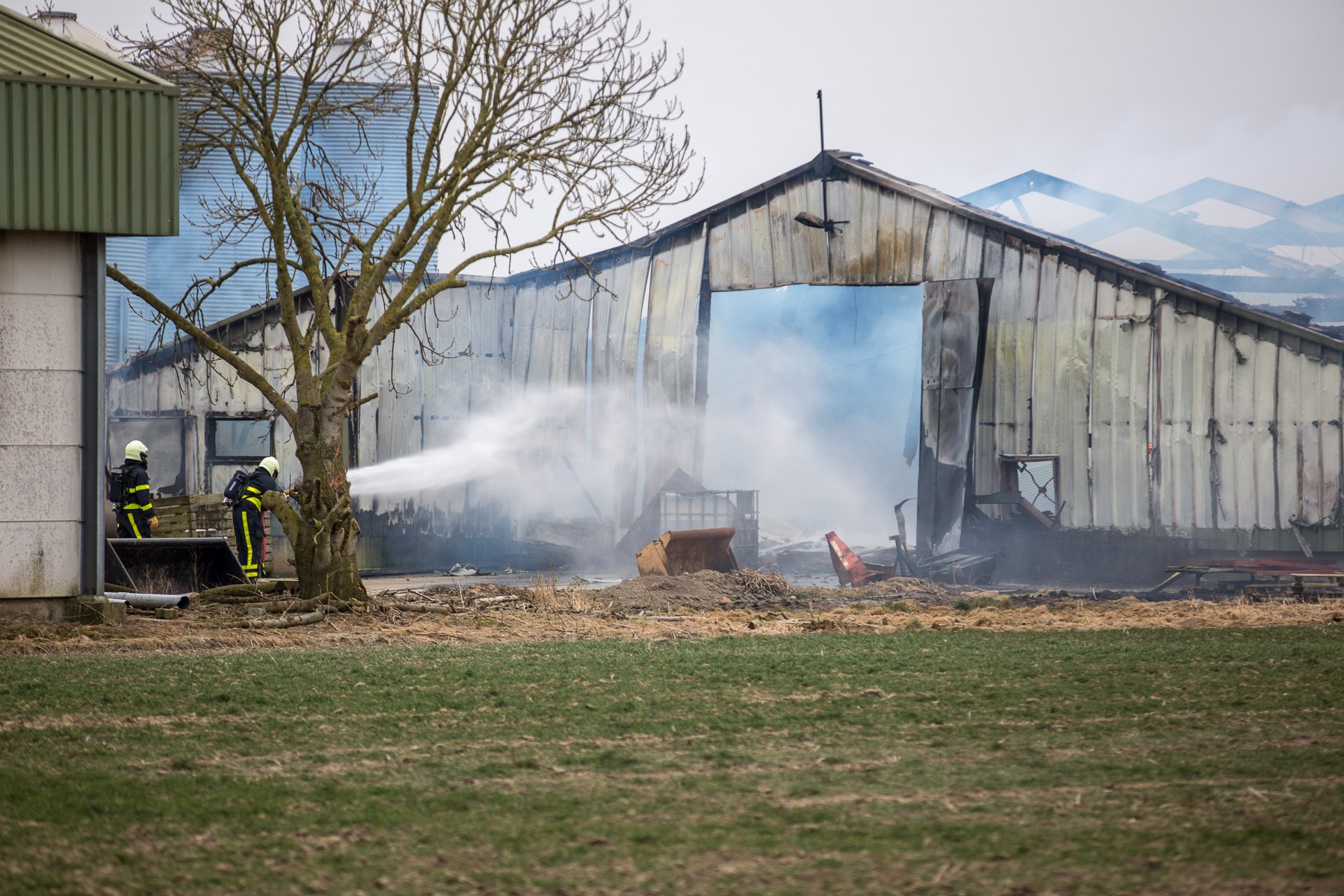 26.000 kippen omgekomen bij grote brand in kippenschuur Willemstad
