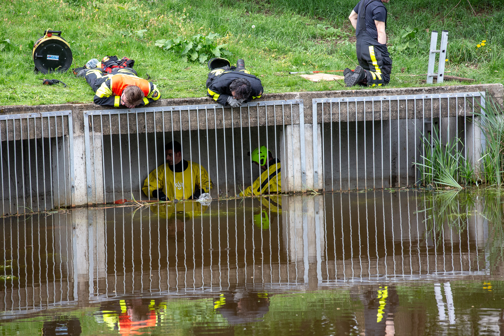 Brandweer redt vier jonge eendjes uit riool in Roosendaal