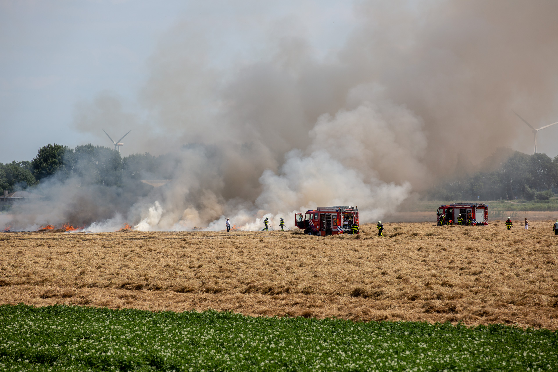 Flink stuk droog grasland in brand aan Kwartiersedijk in Fijnaart