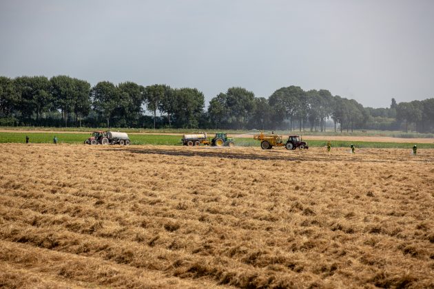 Flink stuk droog grasland in brand aan Kwartiersedijk in Fijnaart