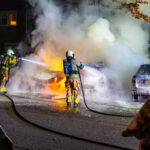 Drie auto's door brand verwoest in Roosendaal