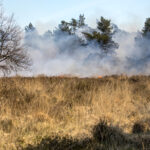 Grote heidebrand Rucphense Heide snel controle
