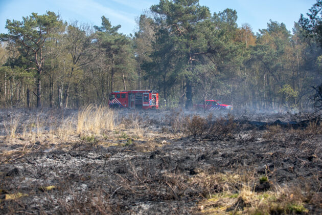Grote heidebrand Rucphense Heide snel controle