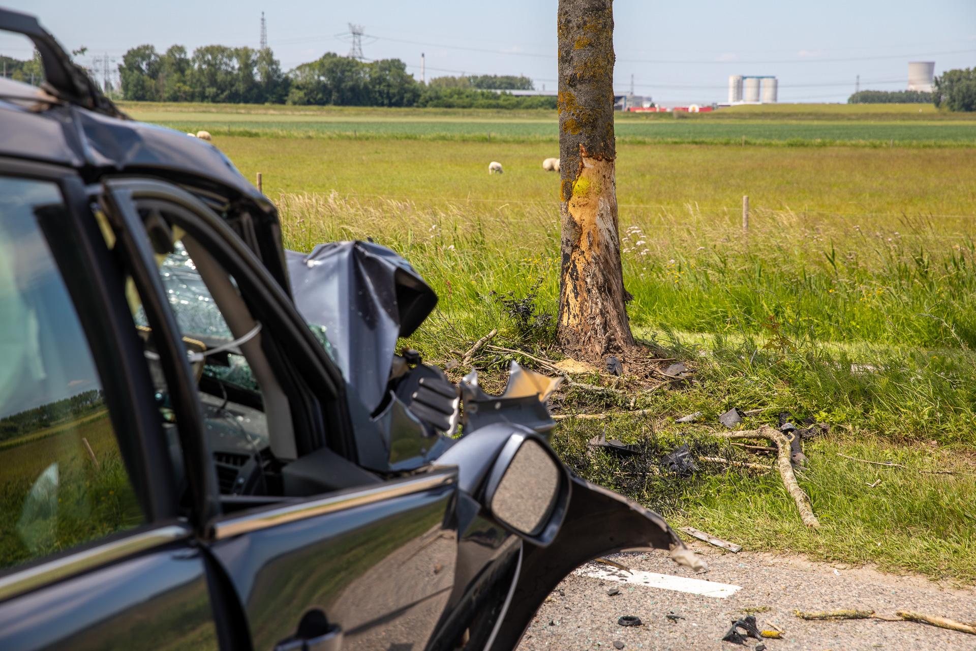 Auto botst tegen boom in Zevenbergen, bestuurder gewond in ziekenhuis