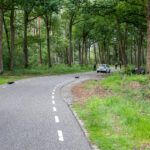 Drie gewonden bij botsing tegen boom in Bergen op Zoom
